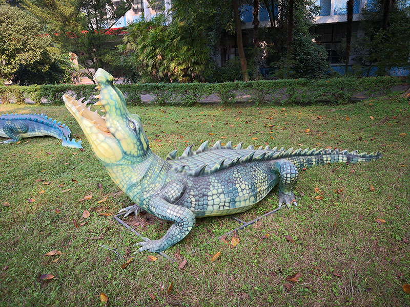 花灯彩灯