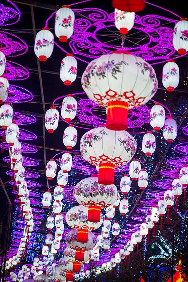 自贡花灯灯会美景