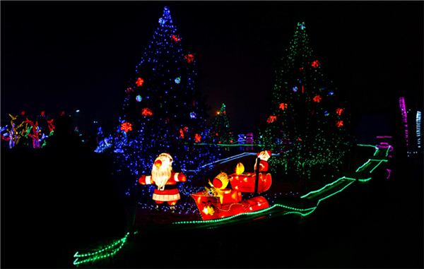 滨湖森林公园风情灯光展