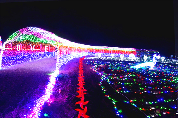 生态园梦幻灯光展