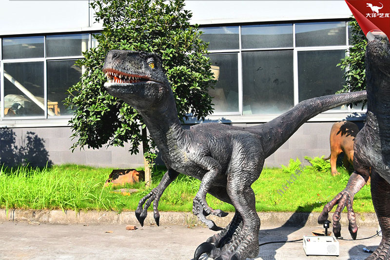 迅猛龙恐龙仿真模型